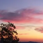 Fra Bosco E Cielo