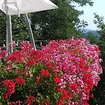 Fra Bosco E Cielo Mercato Saraceno
