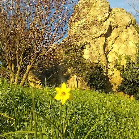 Fra Bosco E Cielo