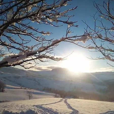 Διαμέρισμα Fra Bosco E Cielo Mercato Saraceno
