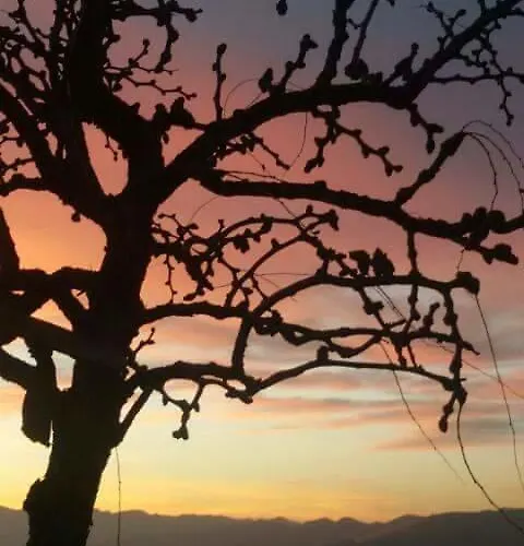 Διαμέρισμα Fra Bosco E Cielo Mercato Saraceno