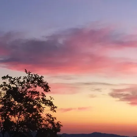 Fra Bosco E Cielo