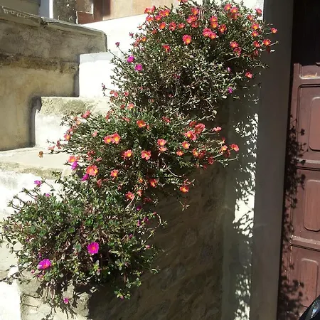 Apartman Fra Bosco E Cielo *