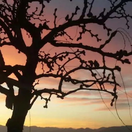 Apartman Fra Bosco E Cielo Mercato Saraceno