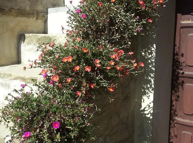 Appartamento Fra Bosco E Cielo *