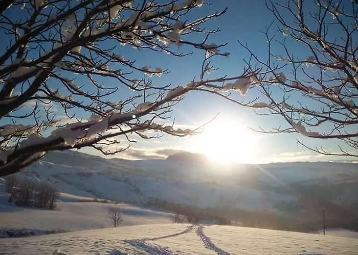 Apartamento Fra Bosco E Cielo Mercato Saraceno
