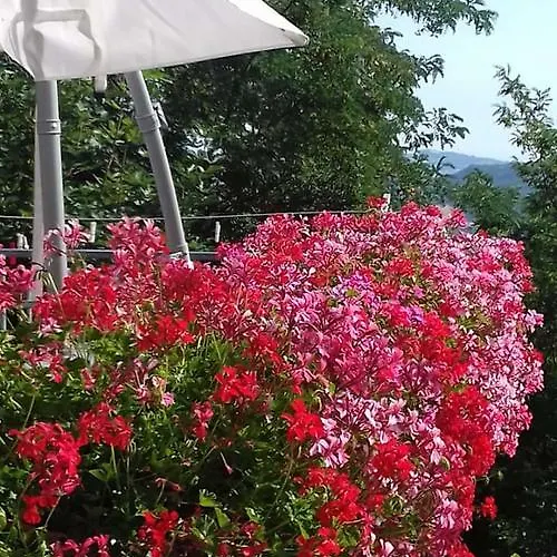 Fra Bosco E Cielo Mercato Saraceno